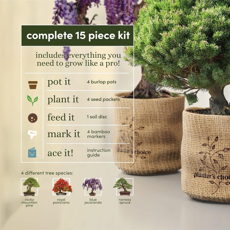 Planters Choice Bonsai Starter Kit